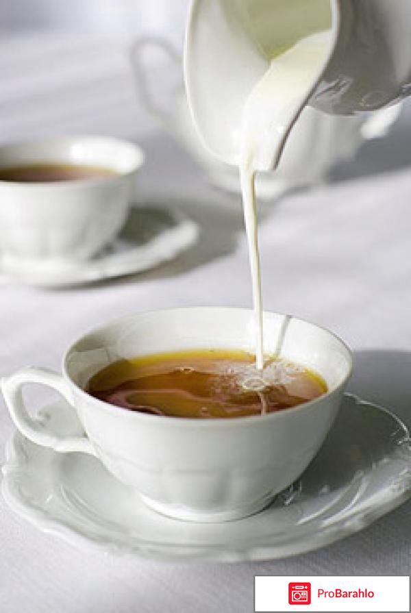 Зеленый чай с молоком для похудения отрицательные отзывы