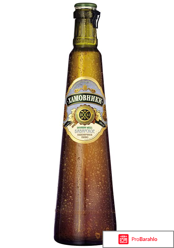 Хамовники баварское 