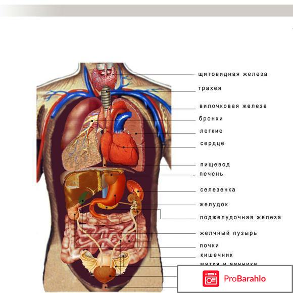 Биолокатор живота 