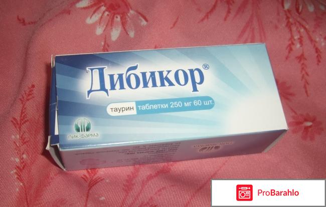 ДИБИКОР отзывы 