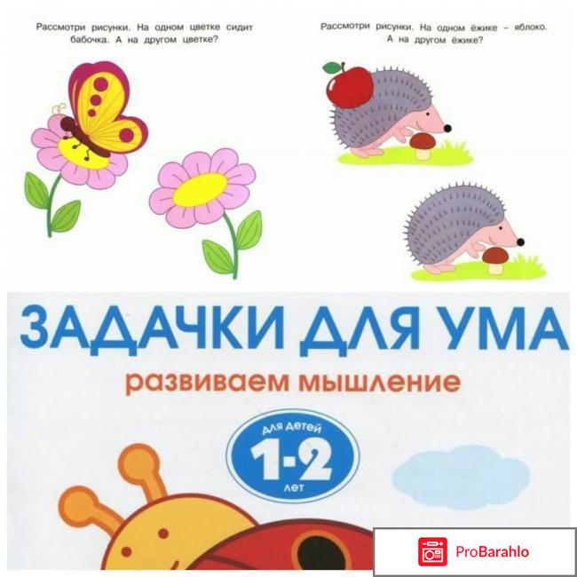 Задачки для ума. Развиваем мышление. Для детей 1-2 лет отрицательные отзывы