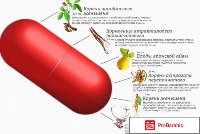 Samyun wan отзывы врачей отрицательные отзывы