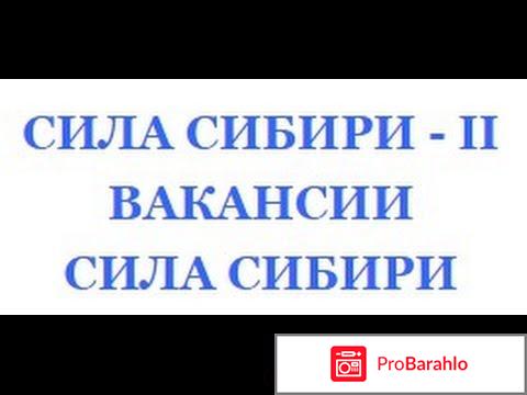 Сила сибири вакансии вахта официальный сайт отзывы