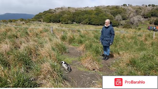 Орёл и Решка. Перезагрузка. Ушуайя фото