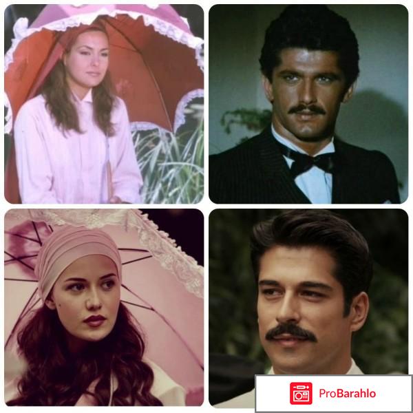 Королек - птичка певчая обман