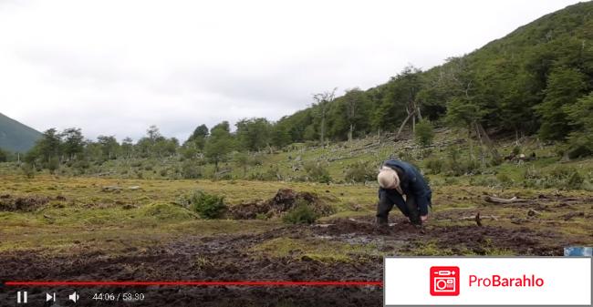 Орёл и Решка. Перезагрузка. Ушуайя фото