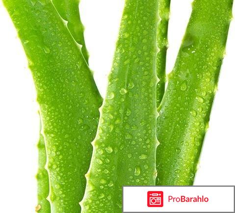 Medrull Набор пластырей 