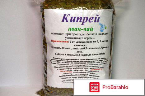 Иван чай полезные свойства и противопоказания 