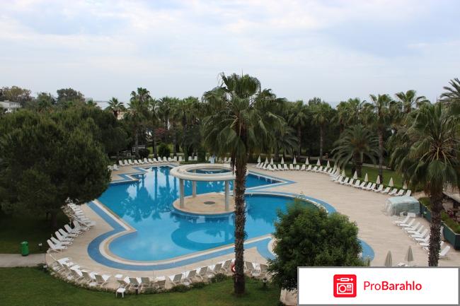 Ozkaymak incekum 5 5 реальные отзывы