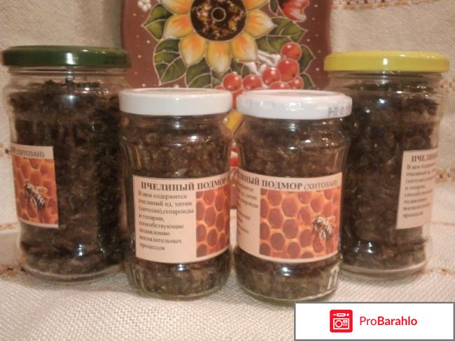 Подмор пчелиный настойка на спирту 