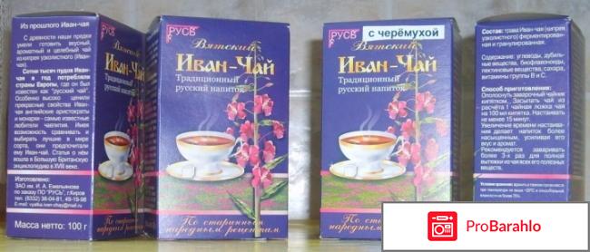 Иван чай полезные свойства и противопоказания отрицательные отзывы