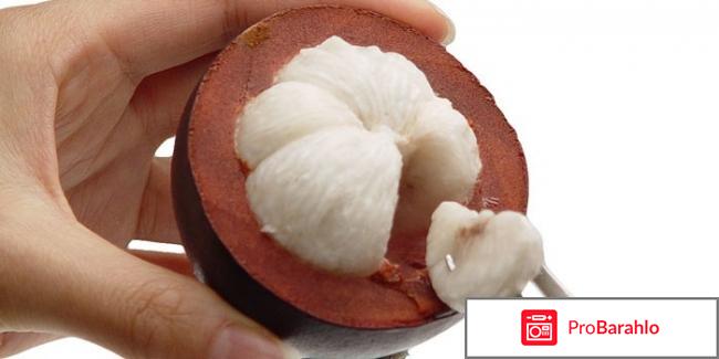 Мангустин для похудения обман