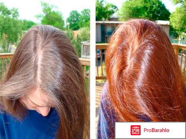 Хна для волос отзывы польза обман