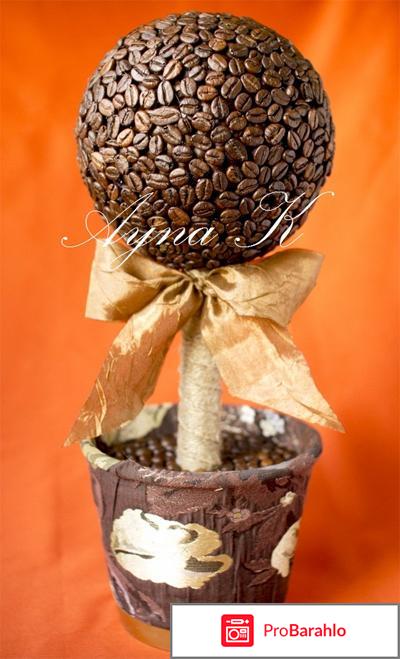 Топиарий фото