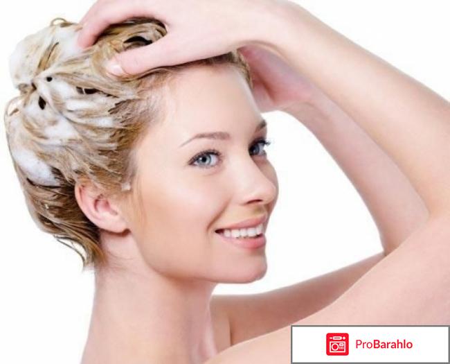 Шампунь шаума зимняя свежесть отзывы отрицательные отзывы