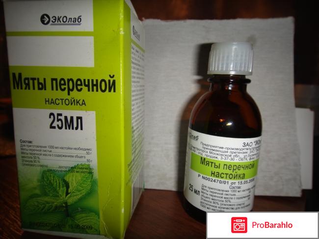 Мята перечная лечебные свойства и противопоказания 