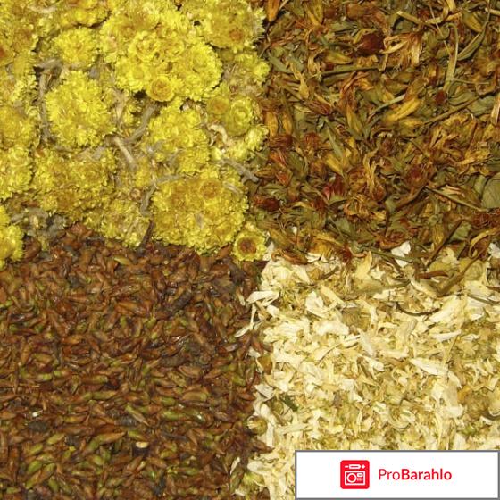 TibeTTea - тибетский чай для суставов фото