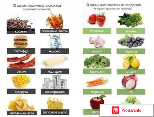 Диета елены кален отзывы отрицательные отзывы