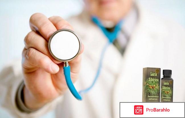 Larix Sibirica средство от давления и ВСД: отзывы, цена 