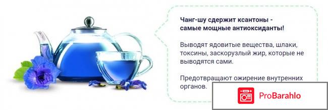 Чай чанг шу отзывы реальные обман