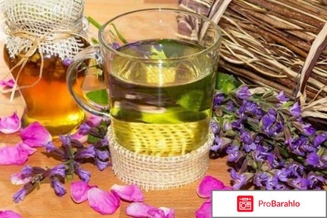 Монастырский чай афера отрицательные отзывы