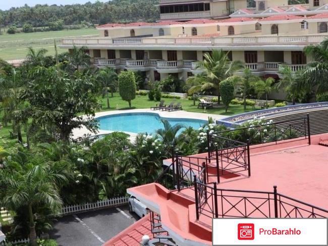 Joecons 3 отель гоа отзывы туристов реальные отзывы