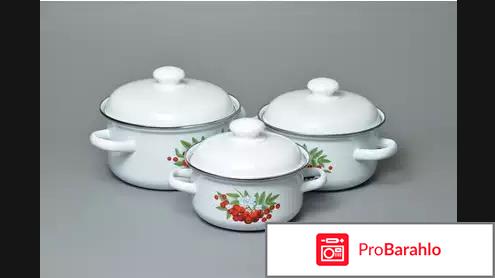 Набор посуды «Рябинка» отрицательные отзывы