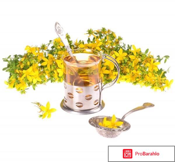 Зверобой отрицательные отзывы