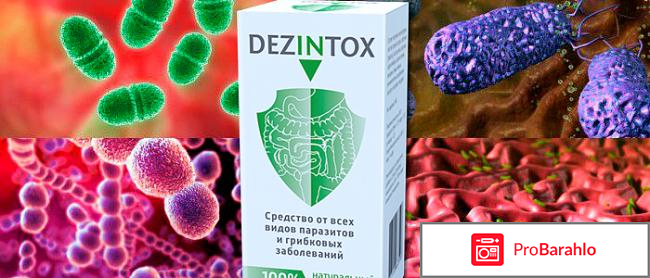 Dezintox обман