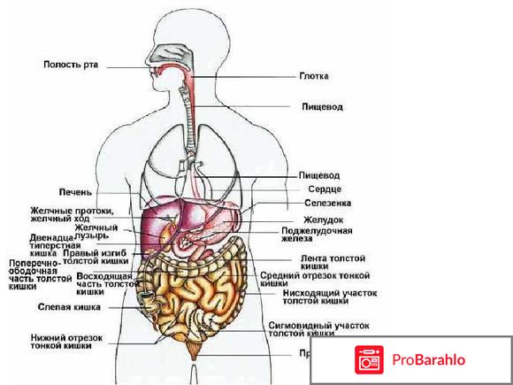 Болит под рёбрами с обеих сторон обман