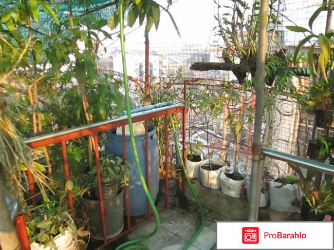 White House Hotel фото