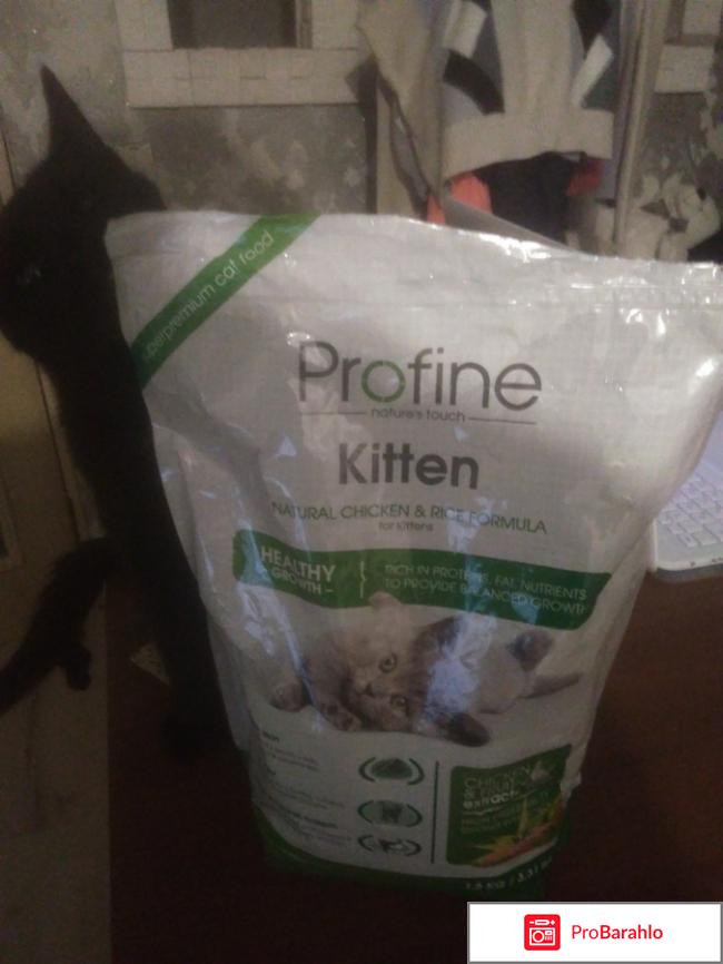 Корм для котят Profine Kitten 