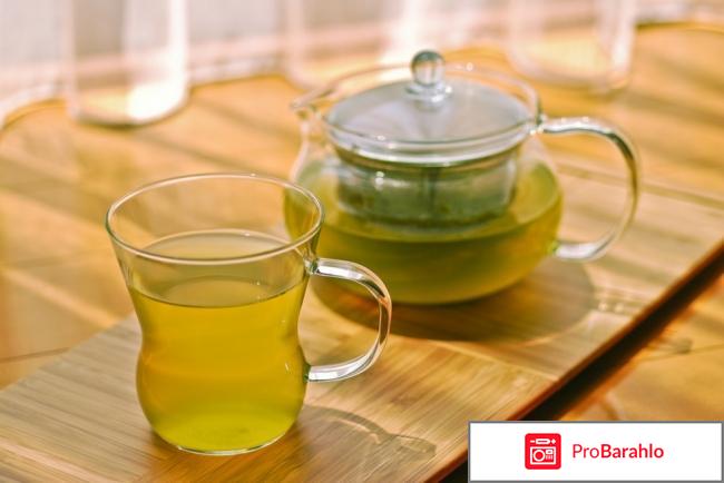 Зеленый чай с имбирем для похудения отзывы 