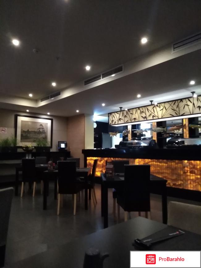 Якитория реальные отзывы