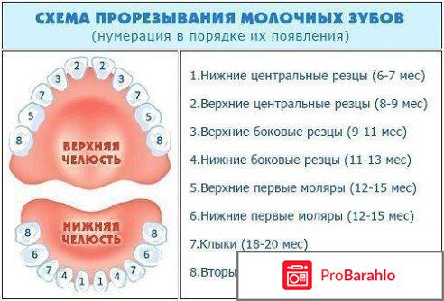 Сколько дней держится температура при прорезывании зубов отрицательные отзывы