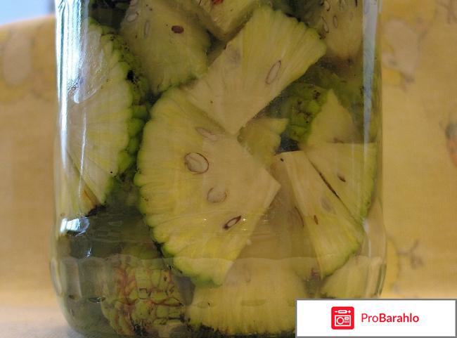 Настойка маклюры для суставов отзывы отрицательные отзывы