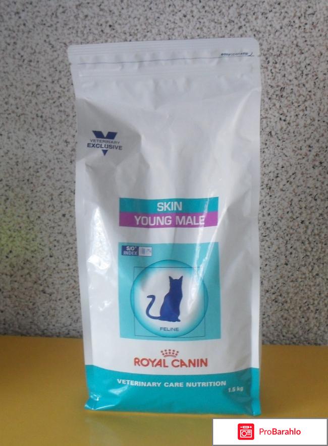 Сухой корм для кошек Royal Canin Skin Young Male 