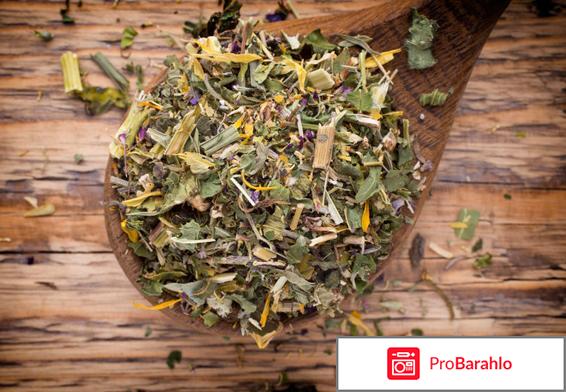 Монастырский сбор обман