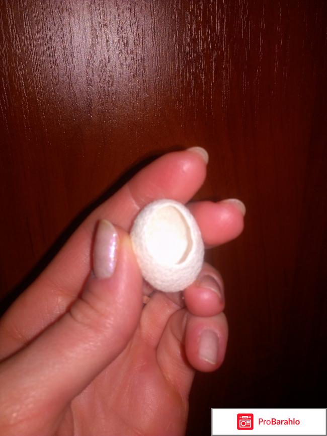 Коконы шелкопряда обман