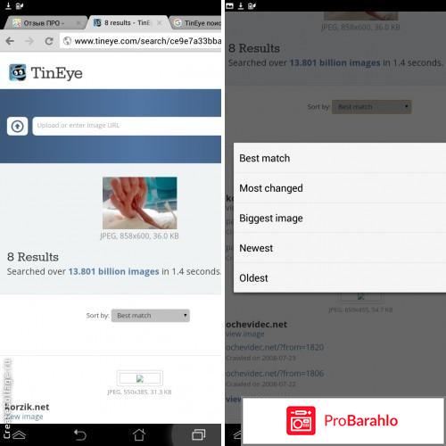 Поисковая система TinEye Reverse Image Search реальные отзывы