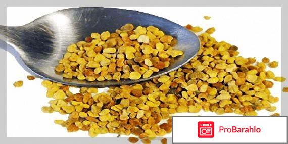 Цветочная пыльца обман