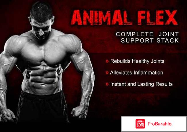 Animal flex побочные эффекты отрицательные отзывы