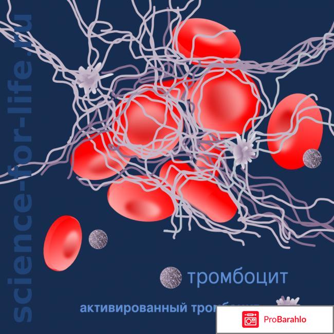 Прадакса обман