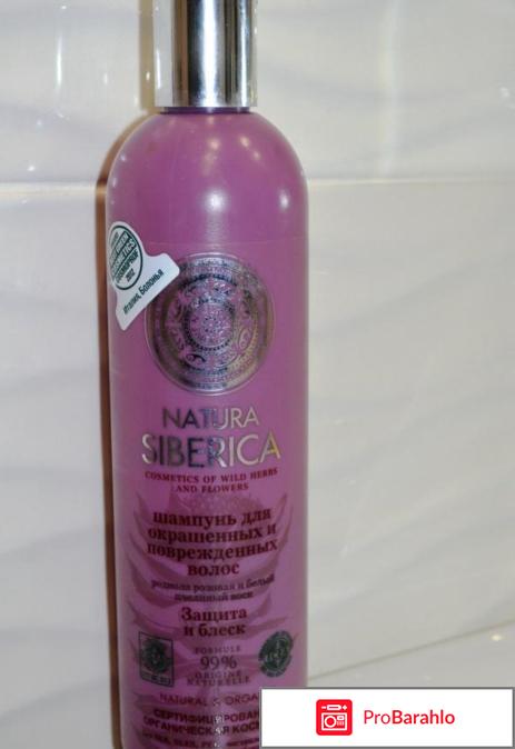 Шампунь натура сиберика для окрашенных волос отзывы 