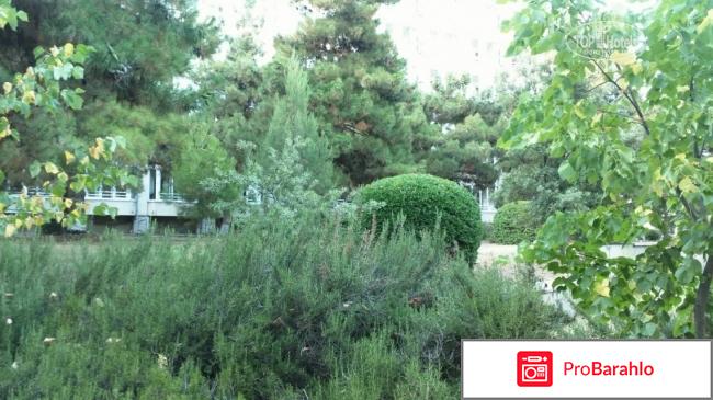 Ток судак отдыхающих 2017 отзывы владельцев