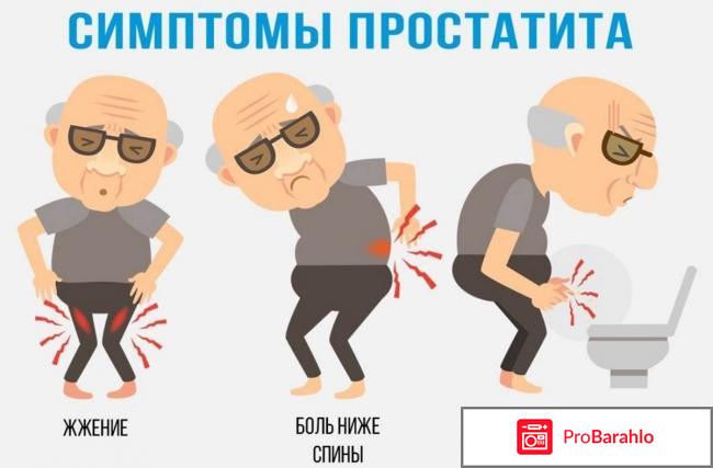 Простолайф отзывы отзывы владельцев