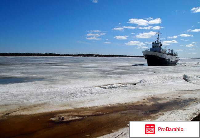 Отдых на белом море фото