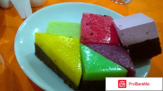 Lonicera World 4?, Турция, Аланья фото