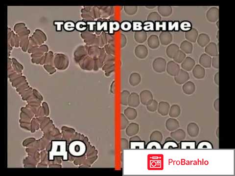Гемосканирование крови цена отрицательные отзывы