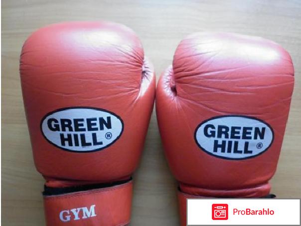 Боксерские перчатки green hill отрицательные отзывы